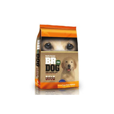 BR FOR DOG PUPPY RAZA MEDIANA 10 KG