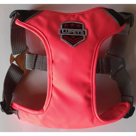 ARNES PASEADOR T XL