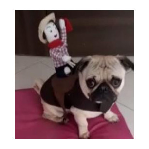 DISFRAZ DE  VAQUERO