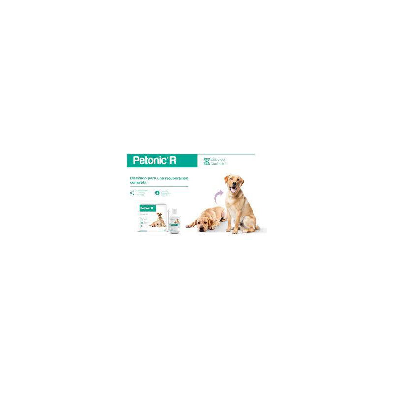PETONIC R PERROS GRANDES X 275  ML