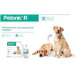 PETONIC R PERROS GRANDES X 275  ML