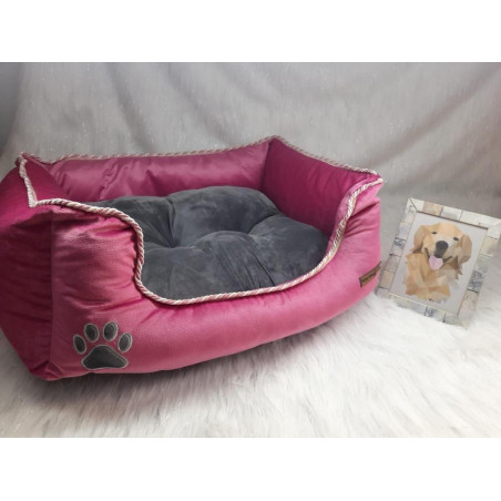 CAMA APOLO TALLA XXL
