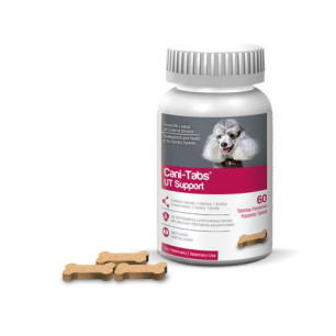 CANI TABS UT SUPPORT CAP X 60 TAB