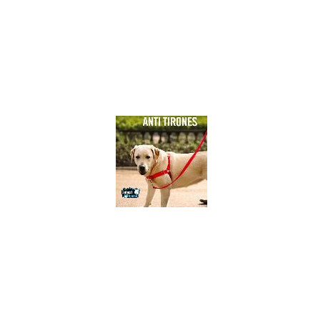 ARNES ANTIJALON TALLA L