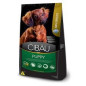 CIBAU PUPPY MINI BREEDS X 3 kg CIBAU PUPPY MINI BREEDS X 3 kg