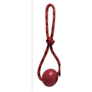 PELOTA MACIZA LAZO GIGANTE