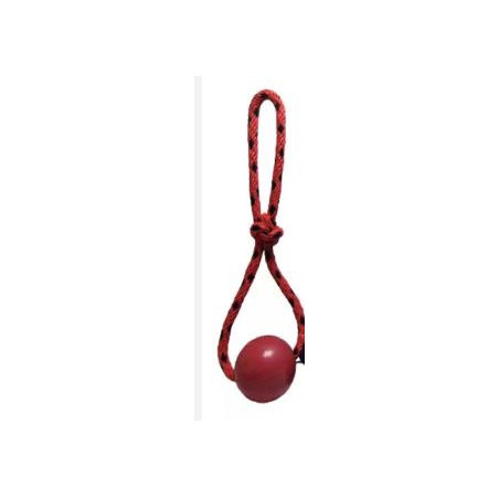 PELOTA MACIZA LAZO GIGANTE