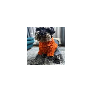 BUZO LANA CORAZON DE MASCOTAS XXL