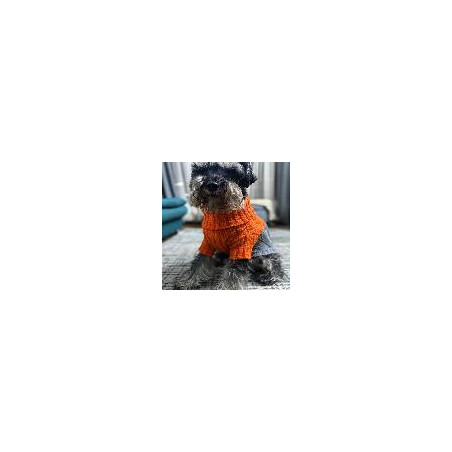 BUZO LANA CORAZON DE MASCOTAS XXL