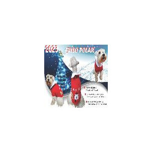 BUSO NAVIDEÑO TALLA 10