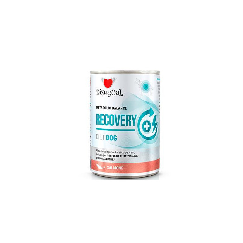 DISUGUAL DOG LATA RECOVERY SALMO X 400g 