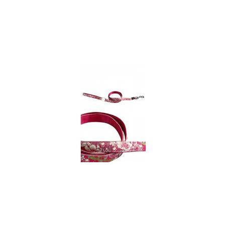 CORREA HULA HULA 100X120