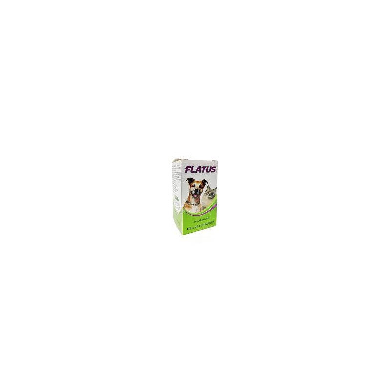 FLATUS X 60 CAPSULAS