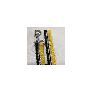 CORREA SURFT T-L 25MMX12