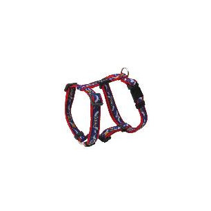 ARNES NYLON DE GOMA 20MMX3550CM LOST IN