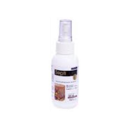 SEPTIDERM E X120 ml