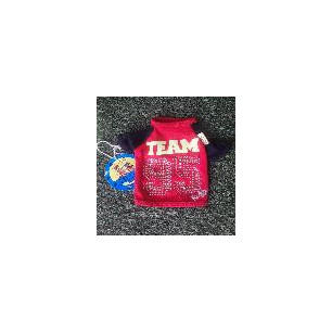CAMISETA TEAM XS