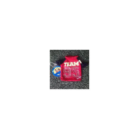 CAMISETA TEAM XS